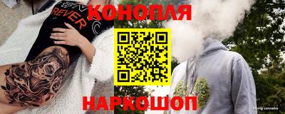 гашик Дубна