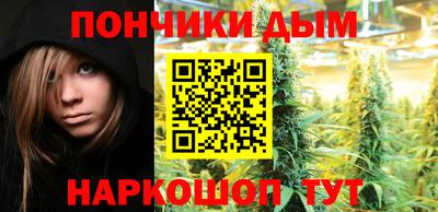 гашик Дубна