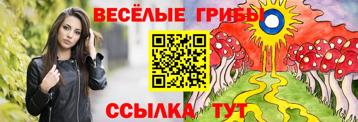 Галлюциногенные грибы Psilocybine cubensis Кулебаки